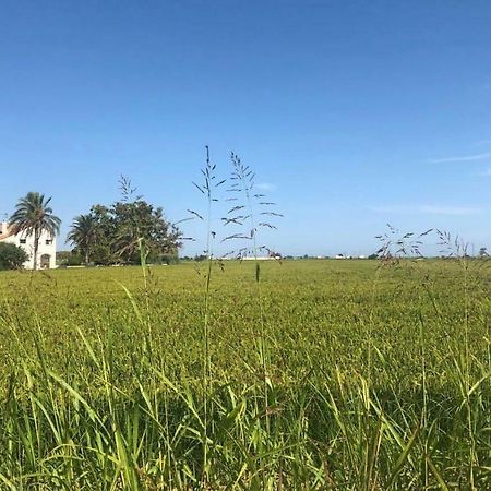 Albergue Delta L'Eucaliptus ภายนอก รูปภาพ
