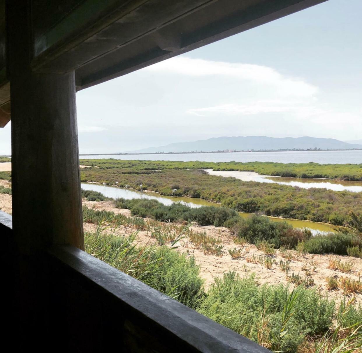 Albergue Delta L'Eucaliptus ภายนอก รูปภาพ
